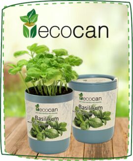 Die Wachsende Ökodose Bio Zertifiziert Feel Green Ecocan Made in Austria Basilikum 100% Eco Friendly Nachhaltige Geschenkidee Grow Your Own/Anzuchtset 