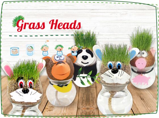 Cat Funny Fast Growing Grass Head Learning Toy for Kids by AvoSeedo Grass Head 