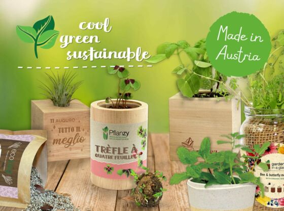 Growing gift and promotional items - Feel Green - We create nature