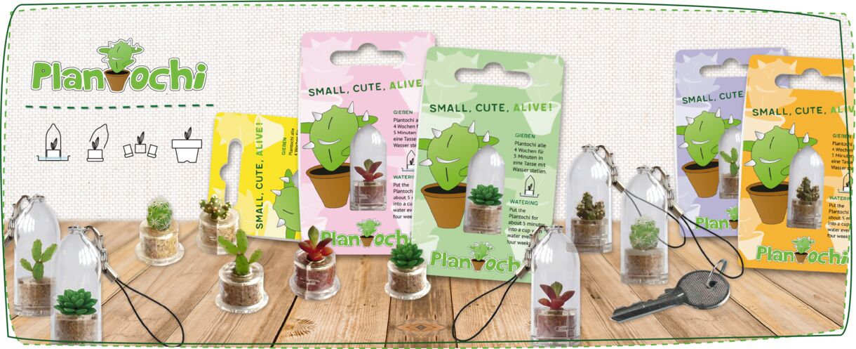 Plantochi Feel Green We Create Nature