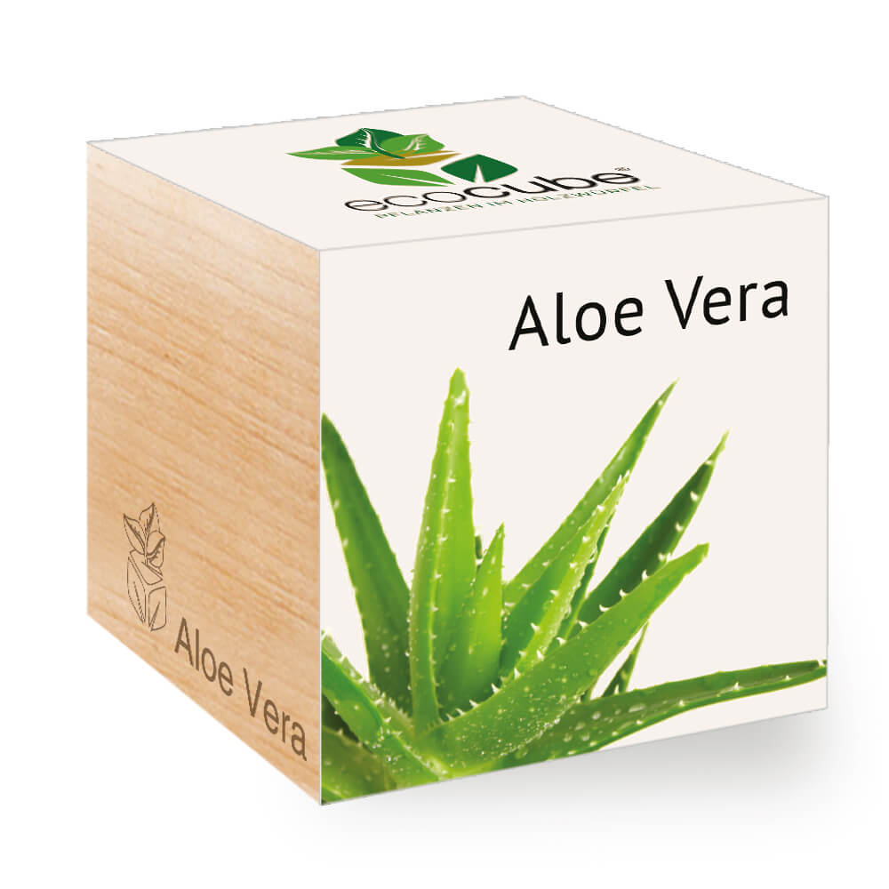 Aloe Vera - Feel Green - We create nature