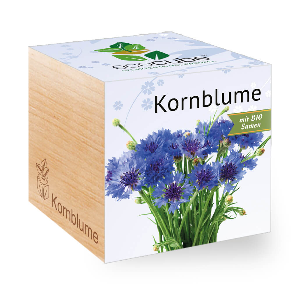Kornblume - Feel Green - We create nature
