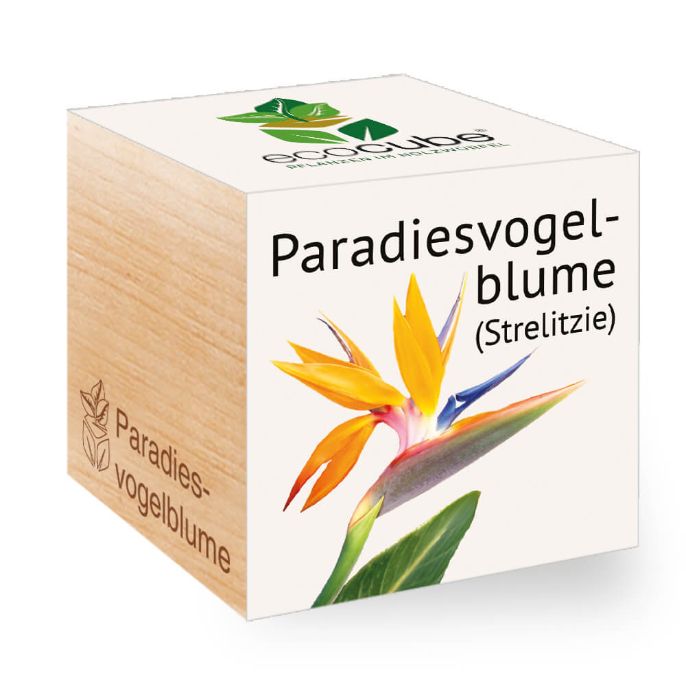 Paradiesvogelblume - Feel Green - We create nature