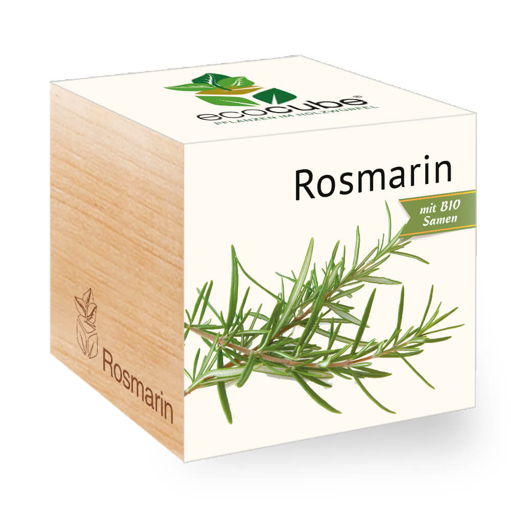 Rosmarin - Feel Green - We create nature