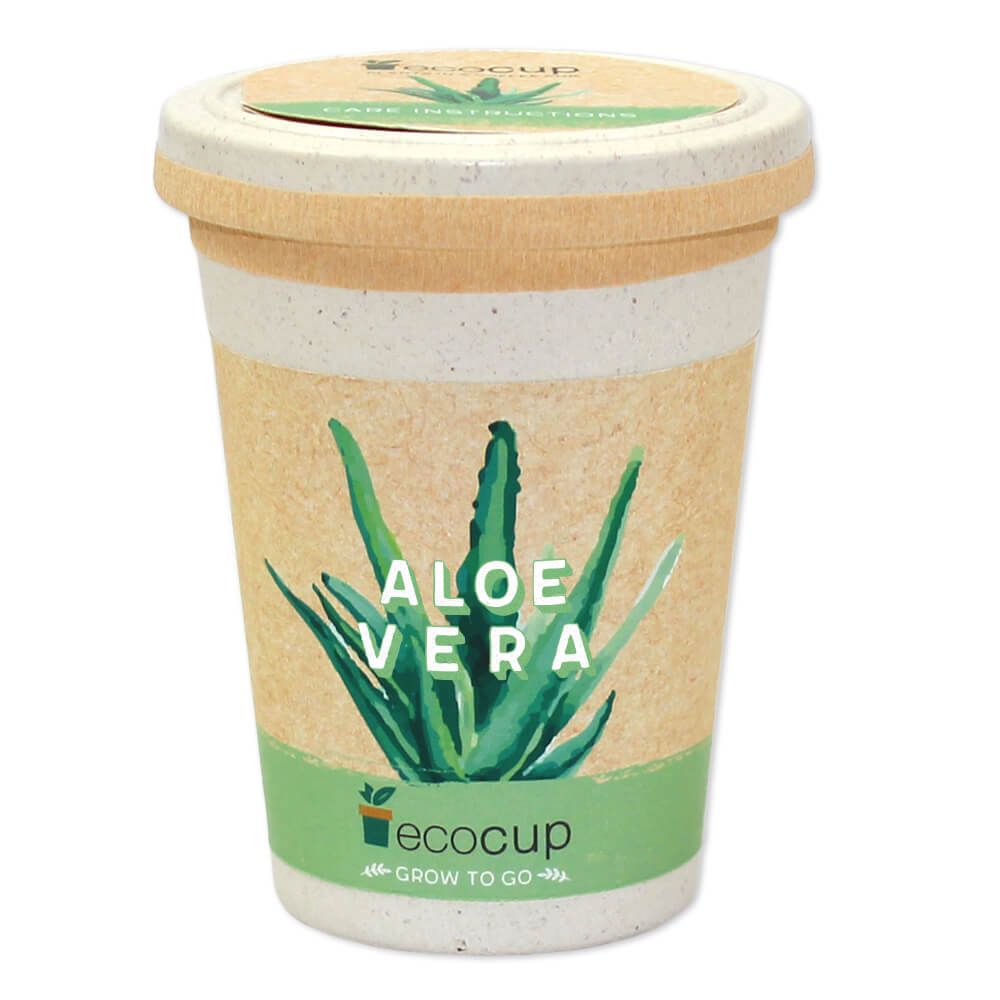 Aloe Vera - Feel Green - We create nature