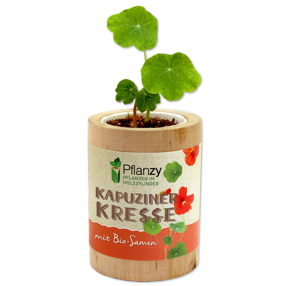 Kapuzinerkresse - Feel Green - We create nature