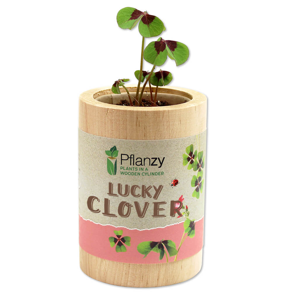 Lucky clover - Feel Green - We create nature